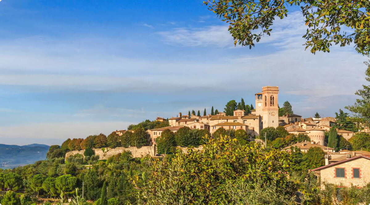 Nuestro inventario incluye una amplia variedad de vehículos.